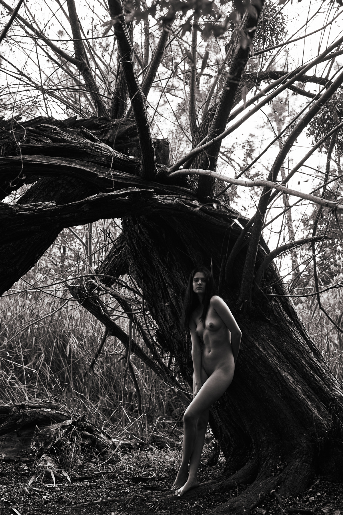 Frank Barthold Photography - Nudes